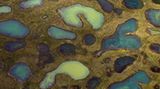 GEO Leserfoto: Die besten Leserfotos: Oktober 2015 - Bild 11