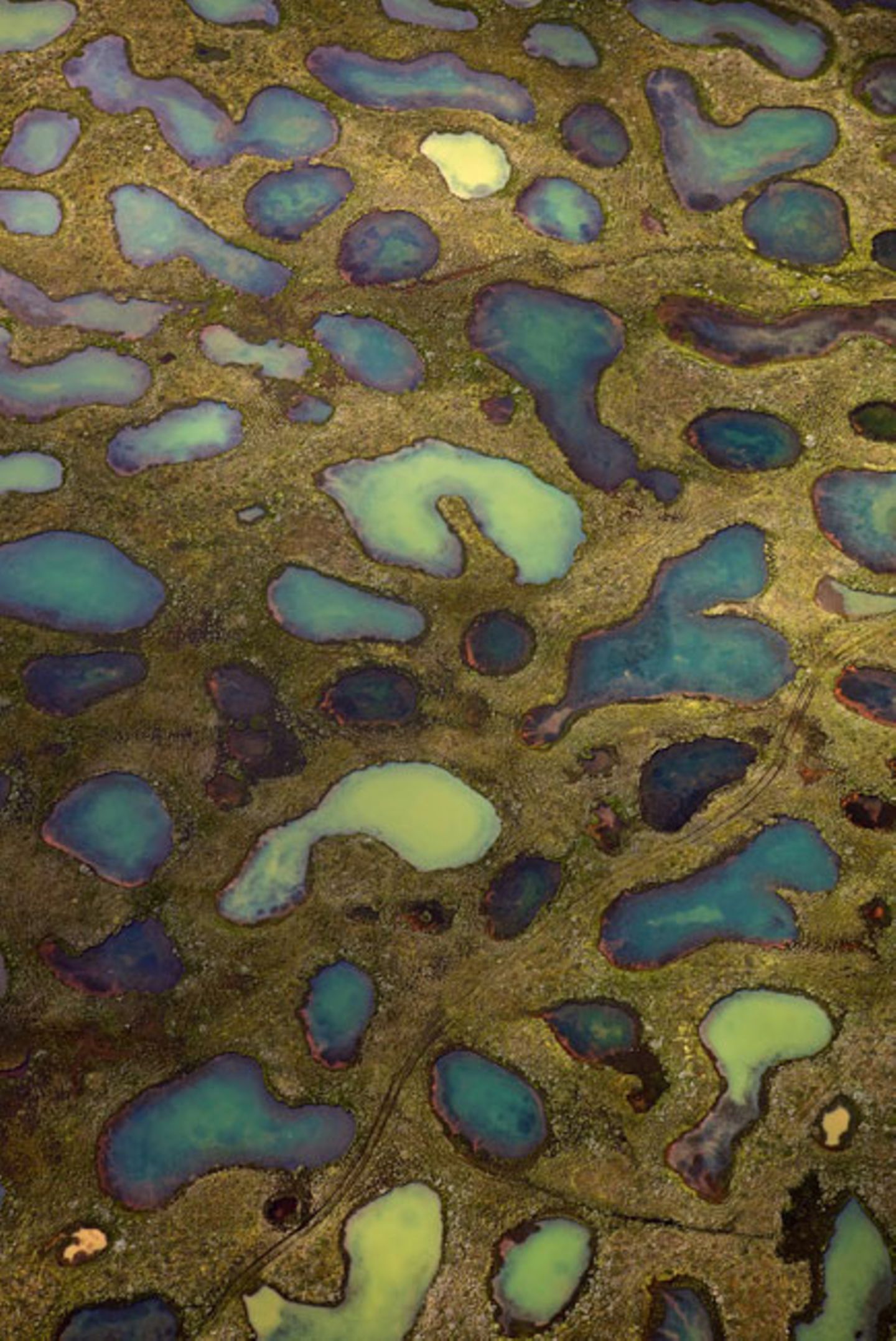 GEO Leserfoto: Die besten Leserfotos: Oktober 2015 - Bild 11