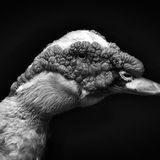 GEO Leserfoto: Die besten Leserfotos: Oktober 2015 - Bild 12