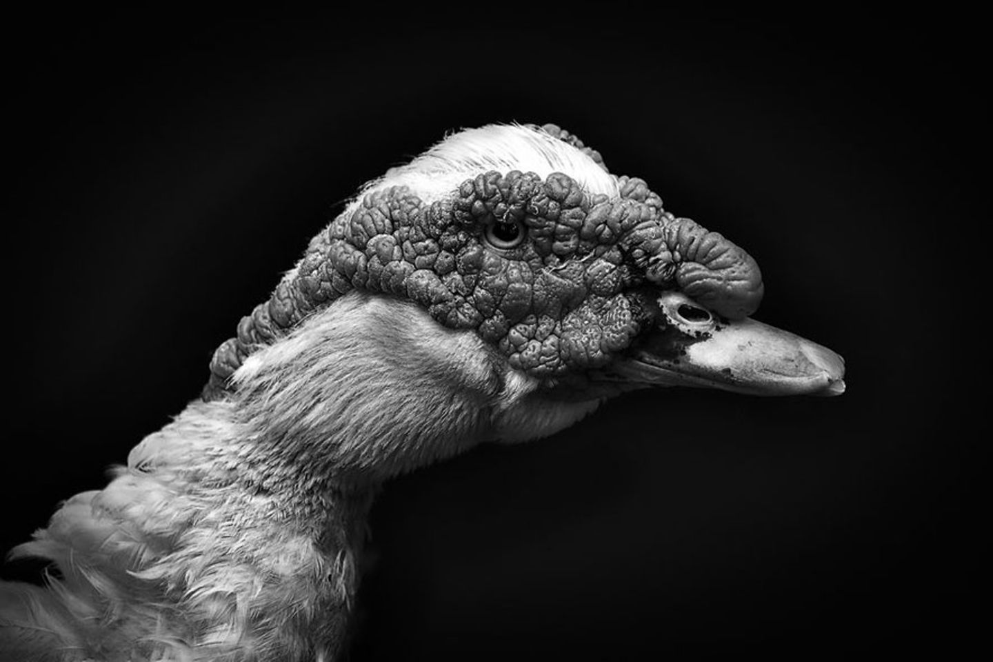 GEO Leserfoto: Die besten Leserfotos: Oktober 2015 - Bild 12
