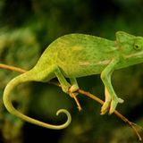 GEO Leserfoto: Die besten Leserfotos: Oktober 2015 - Bild 13