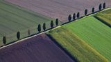 GEO Leserfoto: Die besten Leserfotos: Oktober 2015 - Bild 15