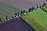 GEO Leserfoto: Die besten Leserfotos: Oktober 2015 - Bild 15