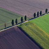 GEO Leserfoto: Die besten Leserfotos: Oktober 2015 - Bild 15