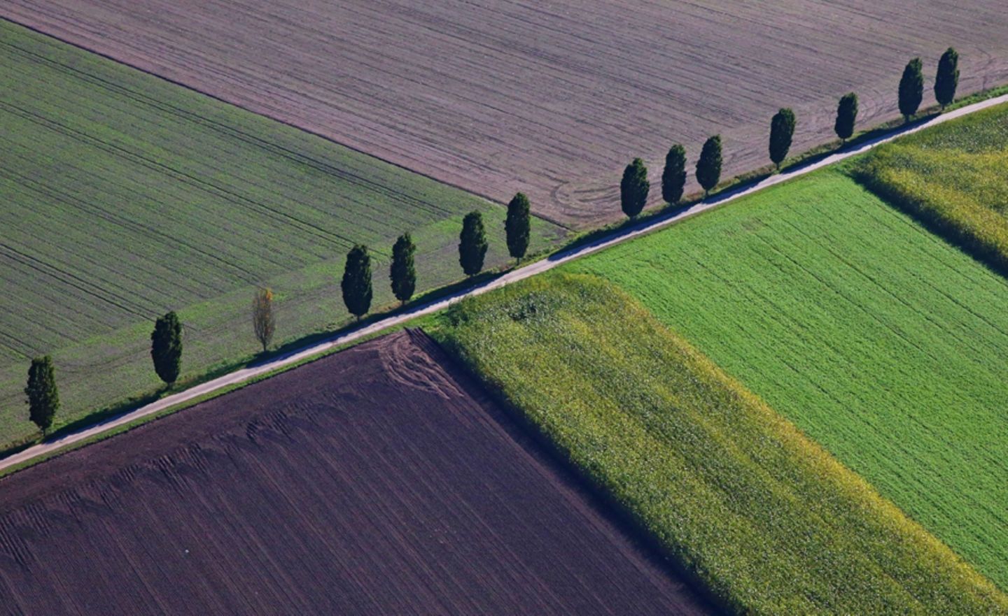 GEO Leserfoto: Die besten Leserfotos: Oktober 2015 - Bild 15