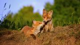 GEO Leserfoto: Die besten Leserfotos: Oktober 2015 - Bild 17
