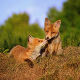 GEO Leserfoto: Die besten Leserfotos: Oktober 2015 - Bild 17