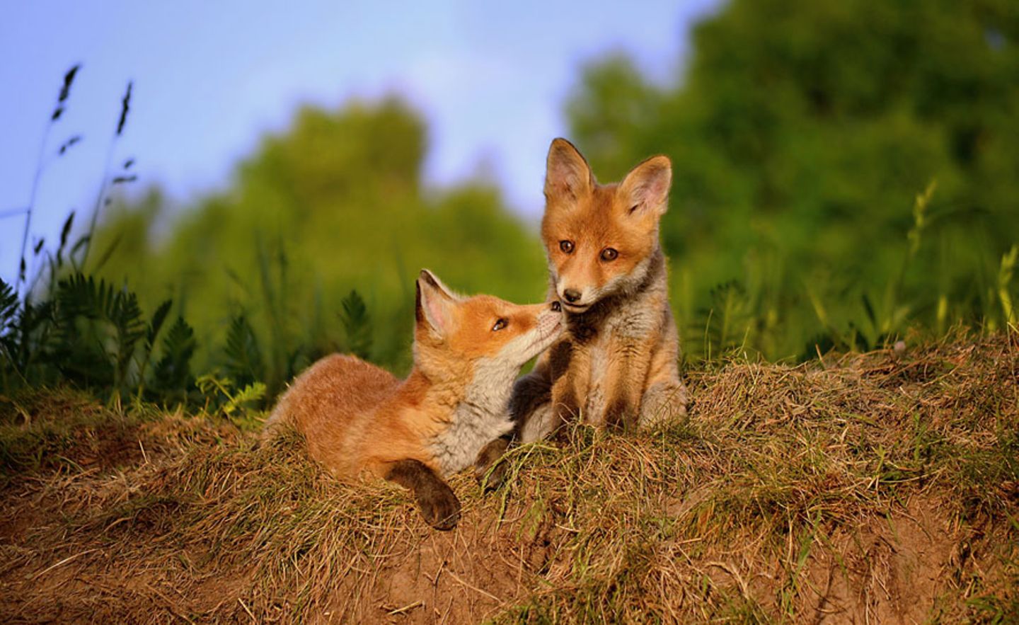 GEO Leserfoto: Die besten Leserfotos: Oktober 2015 - Bild 17