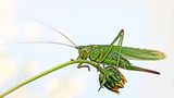 GEO Leserfoto: Die besten Leserfotos: Oktober 2015 - Bild 19