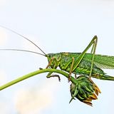 GEO Leserfoto: Die besten Leserfotos: Oktober 2015 - Bild 19