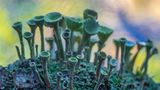 GEO Leserfoto: Die besten Leserfotos: Oktober 2015 - Bild 21