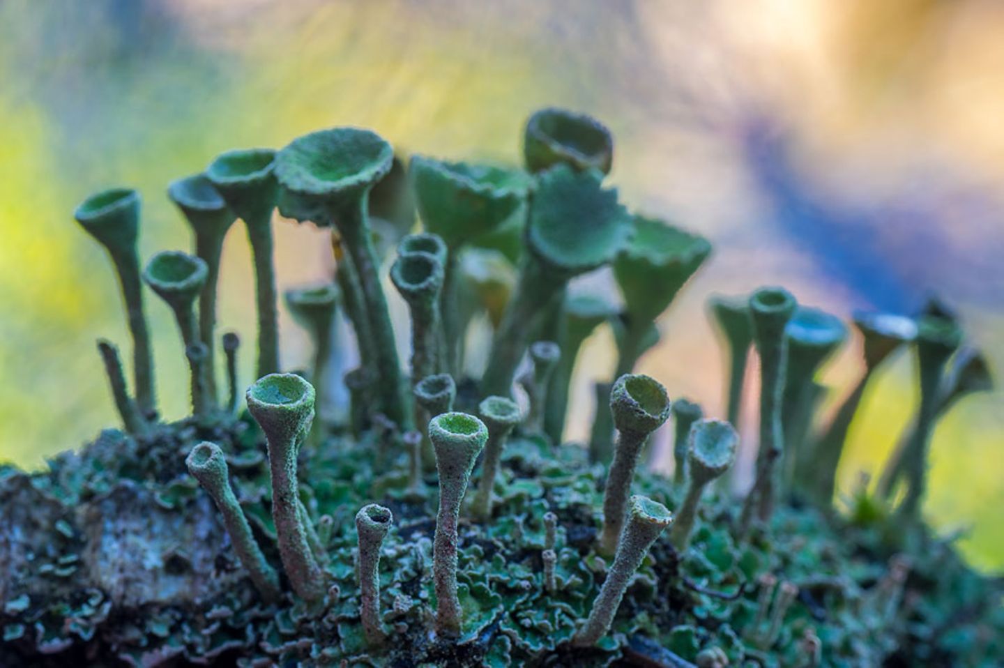 GEO Leserfoto: Die besten Leserfotos: Oktober 2015 - Bild 21