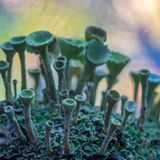 GEO Leserfoto: Die besten Leserfotos: Oktober 2015 - Bild 21