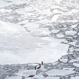 Treibender Untergrund