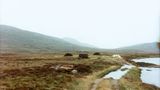 Die Landschaft auf South Uist