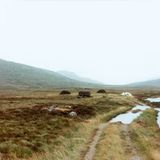 Die Landschaft auf South Uist