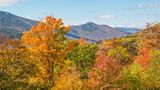 Indian Summer in Neuengland