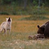 Langsame Überwindung