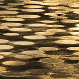 Ein Abend im Hula-Tal (Vögel)