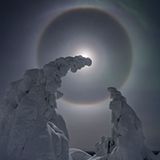 Verschneite Bäume unter Vollmond, Halos und Polarlicht (Landschaften)