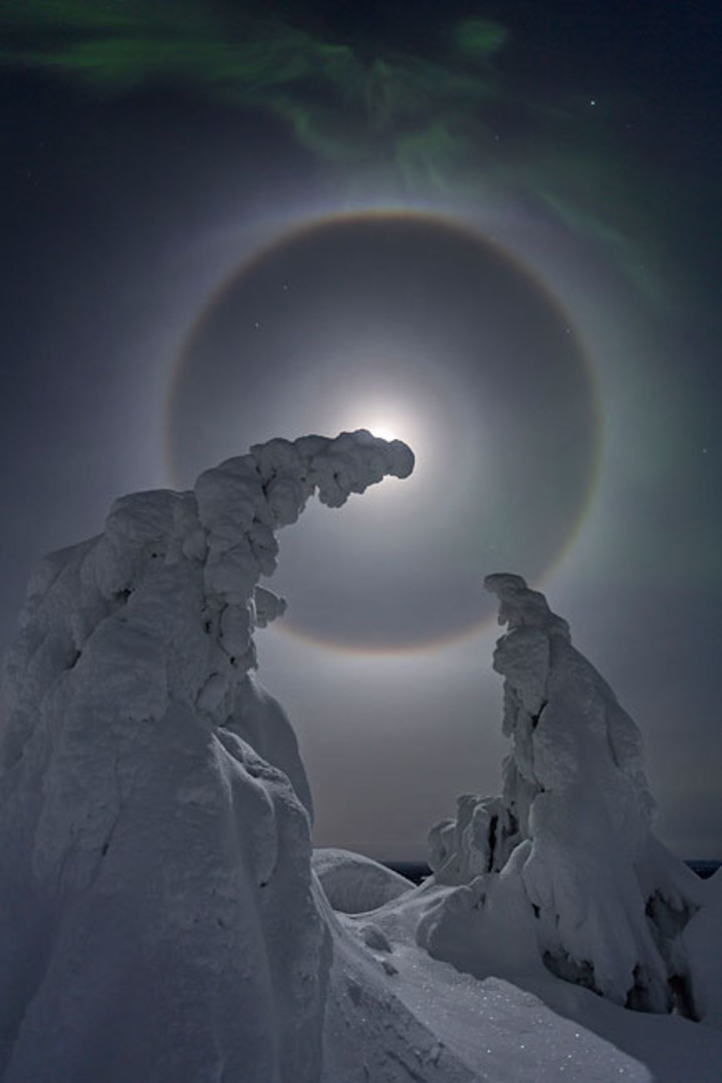 Verschneite Bäume unter Vollmond, Halos und Polarlicht (Landschaften) Verschneite Bäume unter Vollmond, Halos und Polarlicht (Landschaften)