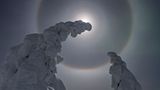 Verschneite Bäume unter Vollmond, Halos und Polarlicht (Landschaften)
