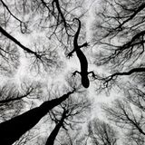 Düstere Zukunft (Unter Wasser)