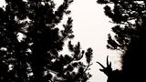 Silhouette (Jugendkategorie bis 15-17 Jahre)