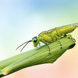 GEO Leserfoto: Die besten Leserfotos: November 2015 - Bild 2