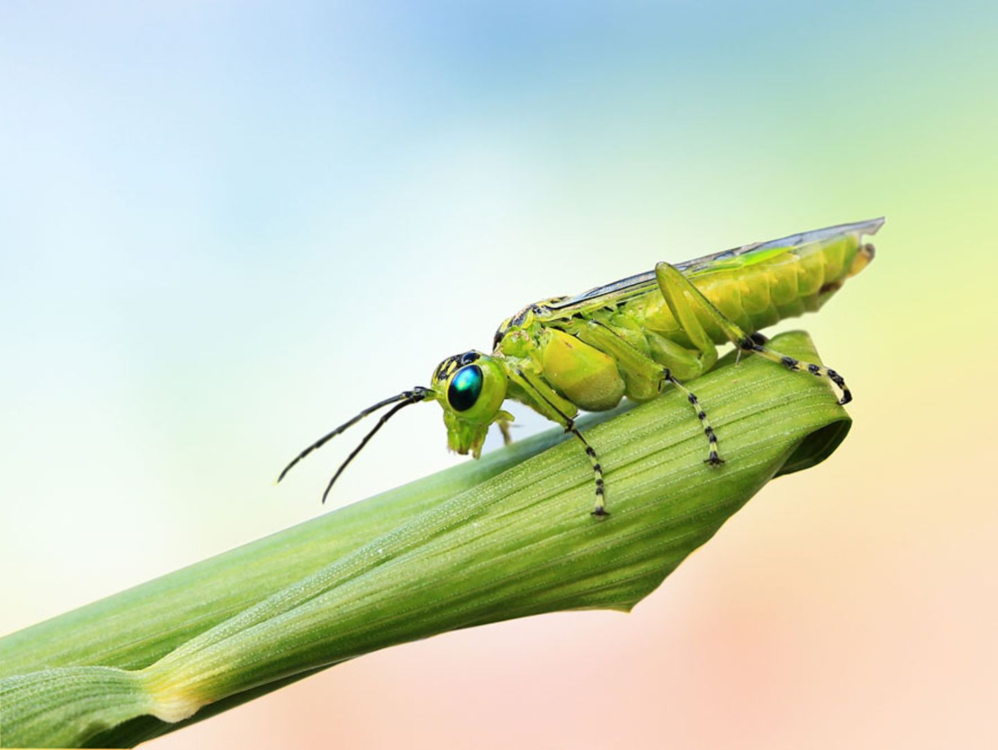 GEO Leserfoto: Die besten Leserfotos: November 2015 - Bild 2