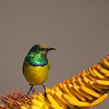 GEO Leserfoto: Die besten Leserfotos: November 2015 - Bild 4