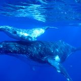 GEO Leserfoto: Die besten Leserfotos: November 2015 - Bild 5