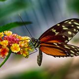 GEO Leserfoto: Die besten Leserfotos: November 2015 - Bild 7