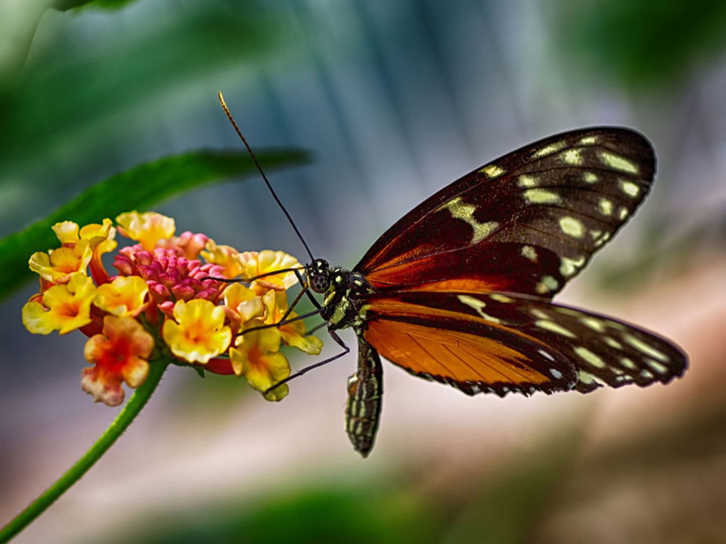 GEO Leserfoto: Die besten Leserfotos: November 2015 - Bild 7