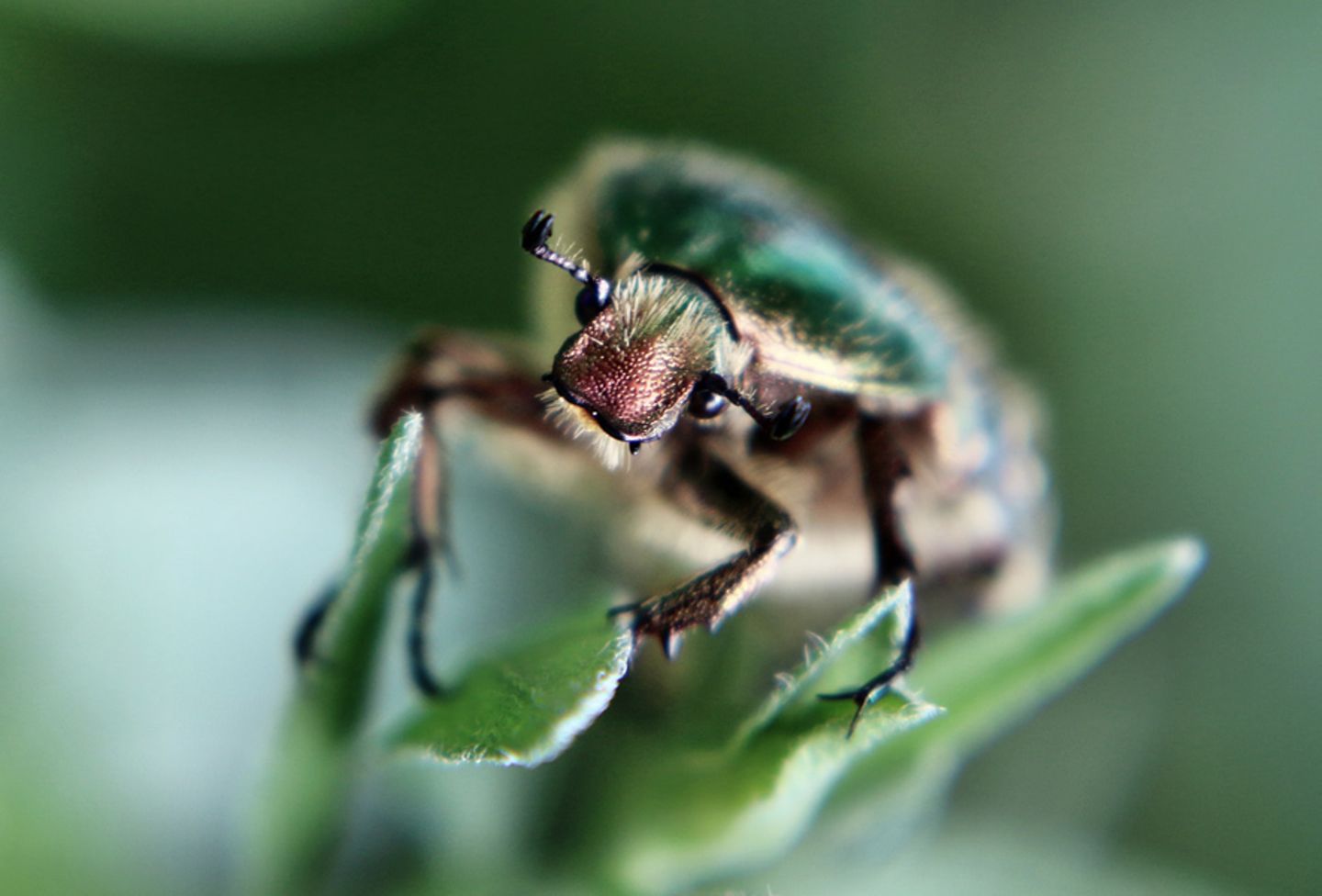 GEO Leserfoto: Die besten Leserfotos: November 2015 - Bild 9