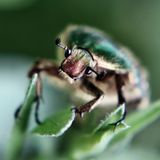 GEO Leserfoto: Die besten Leserfotos: November 2015 - Bild 9