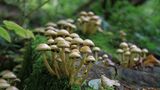 GEO Leserfoto: Die besten Leserfotos: November 2015 - Bild 11