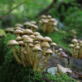 GEO Leserfoto: Die besten Leserfotos: November 2015 - Bild 11