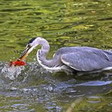 GEO Leserfoto: Die besten Leserfotos: November 2015 - Bild 13