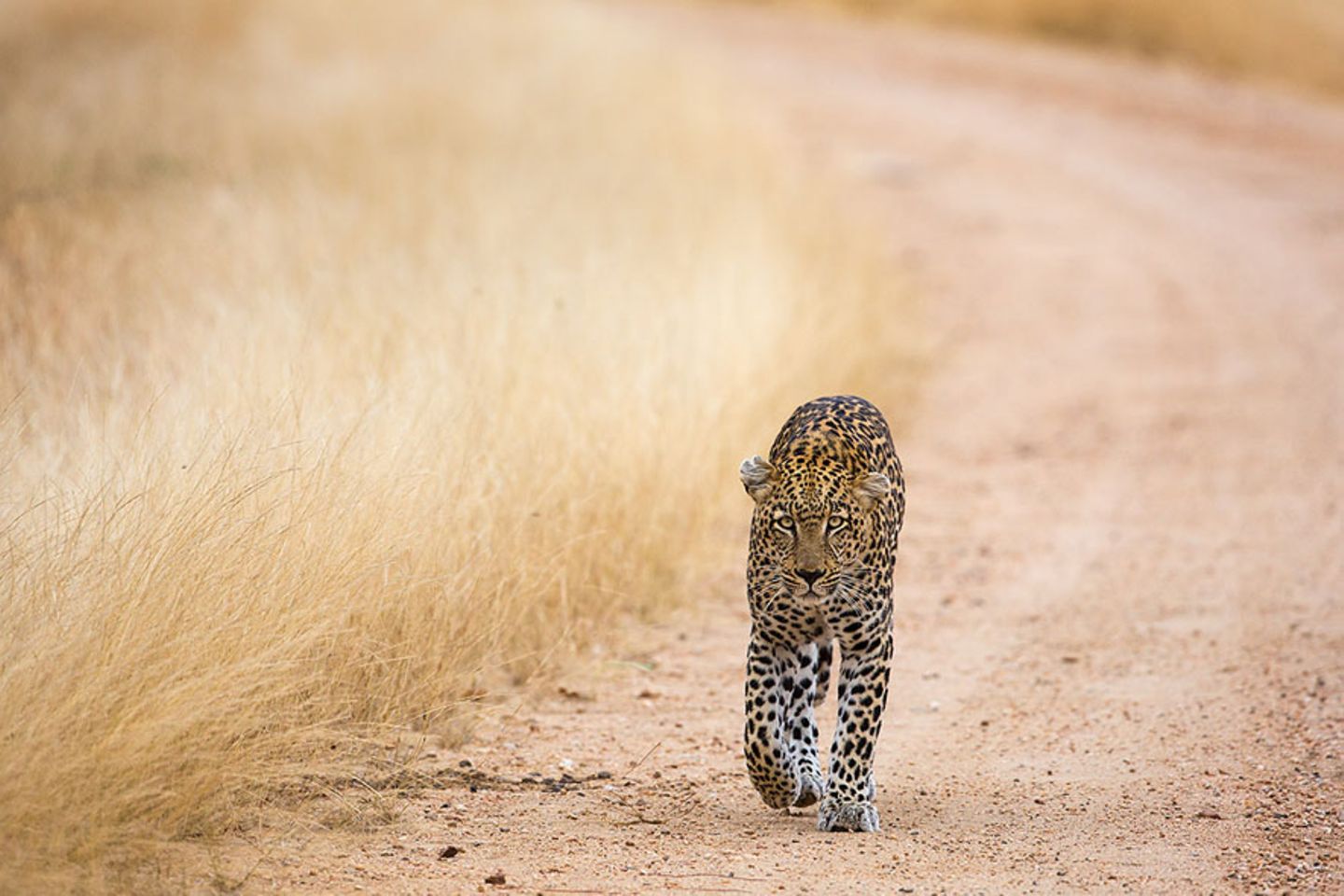 GEO Leserfoto: Die besten Leserfotos: November 2015 - Bild 15
