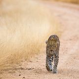 GEO Leserfoto: Die besten Leserfotos: November 2015 - Bild 15