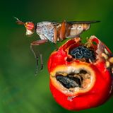 GEO Leserfoto: Die besten Leserfotos: November 2015 - Bild 16