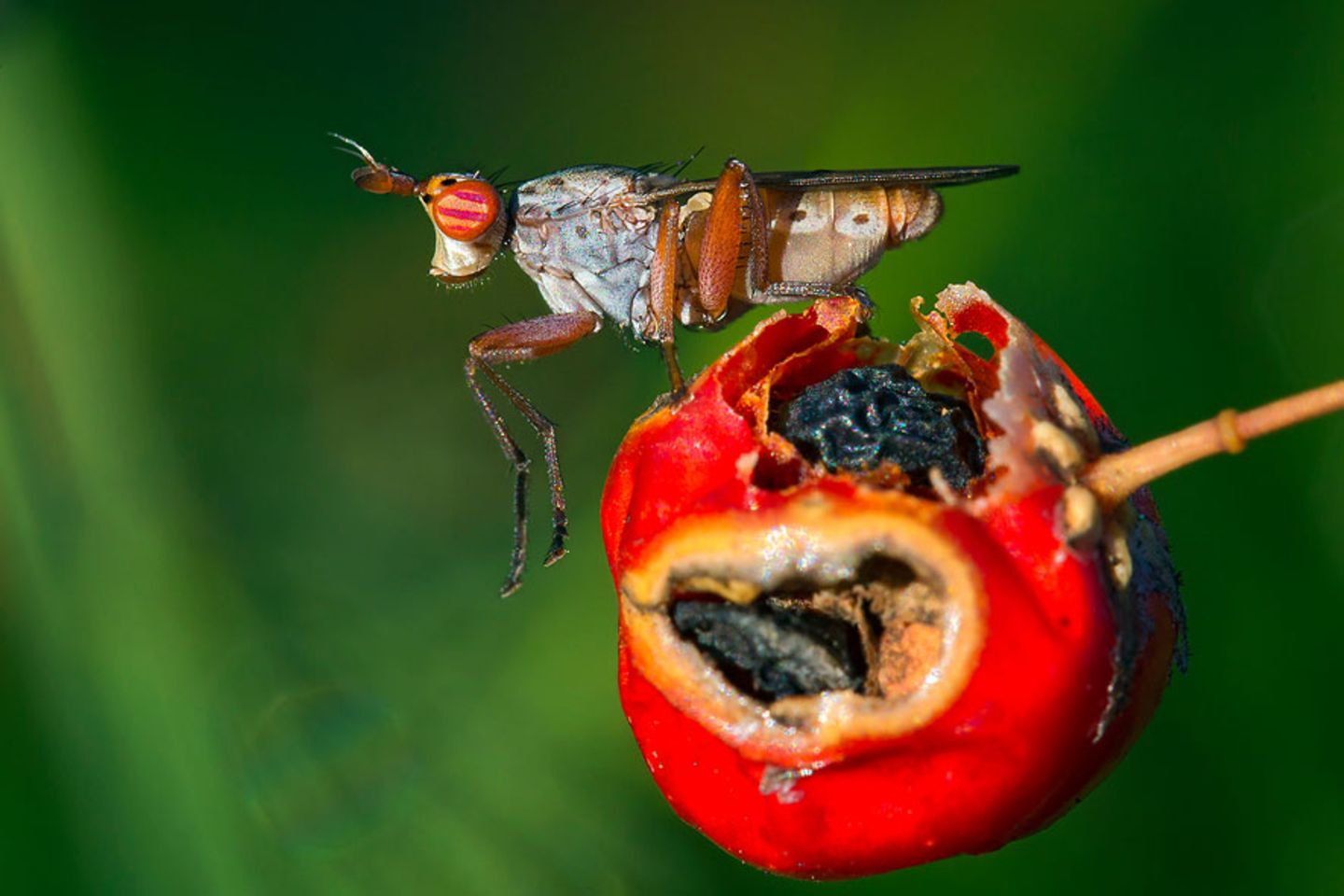 GEO Leserfoto: Die besten Leserfotos: November 2015 - Bild 16