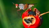 GEO Leserfoto: Die besten Leserfotos: November 2015 - Bild 16