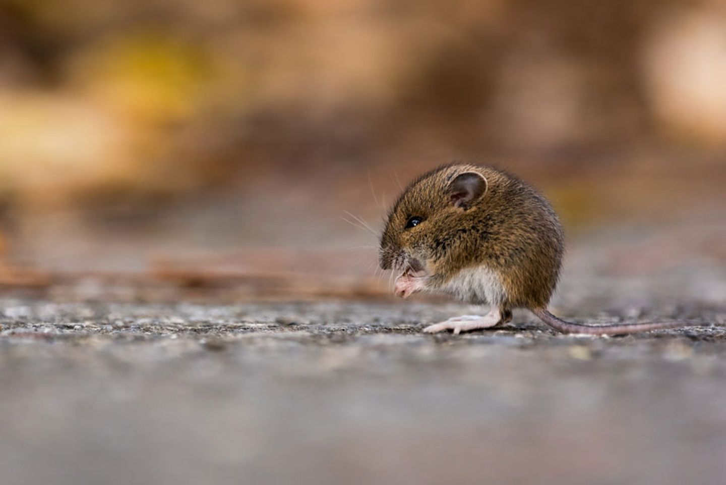 GEO Leserfoto: Die besten Leserfotos: November 2015 - Bild 18