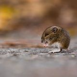 GEO Leserfoto: Die besten Leserfotos: November 2015 - Bild 18