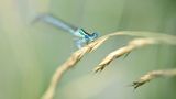 GEO Leserfoto: Die besten Leserfotos: November 2015 - Bild 21