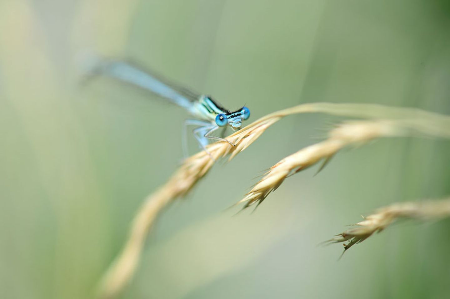 GEO Leserfoto: Die besten Leserfotos: November 2015 - Bild 21