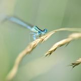 GEO Leserfoto: Die besten Leserfotos: November 2015 - Bild 21