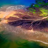 Flamingos am Lake Bogoria